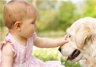 寵物對嬰兒的影響 寵物對嬰兒的危害有哪些？