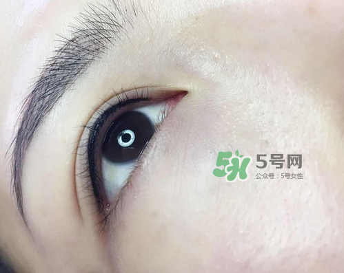 美瞳線有幾種款式？美瞳線有小尾巴嗎？