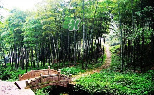夏天去哪里旅游最好？夏天旅游哪里涼快？