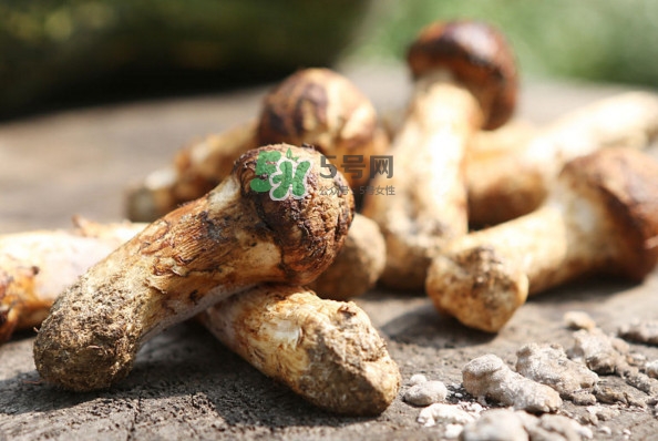 新鮮松茸怎么吃？松茸怎么吃最有營養(yǎng)