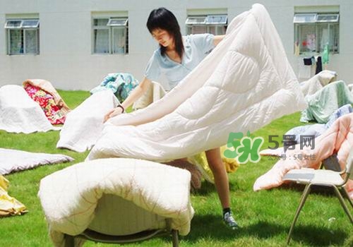 三伏天能曬被子嗎？三伏天曬被子好嗎？