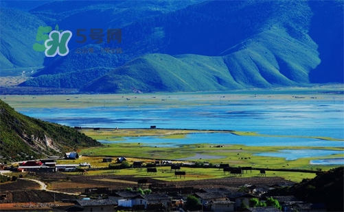 夏天去哪里旅游最好？夏天旅游哪里涼快？