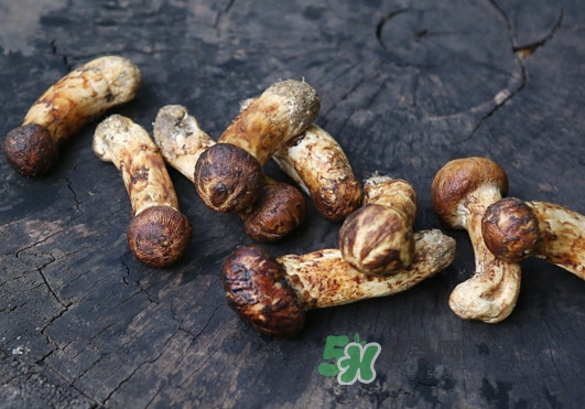 新鮮松茸怎么吃？松茸怎么吃最有營養(yǎng)
