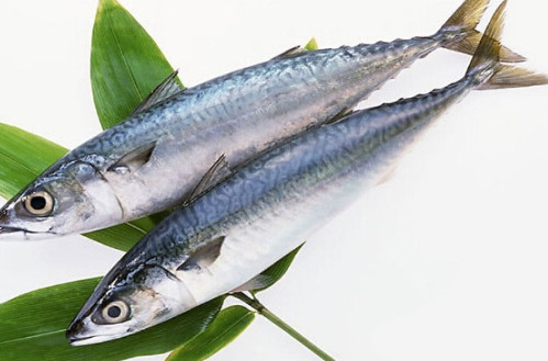 鳡魚吃什么？翹嘴魚和鳡魚有什么區(qū)別
