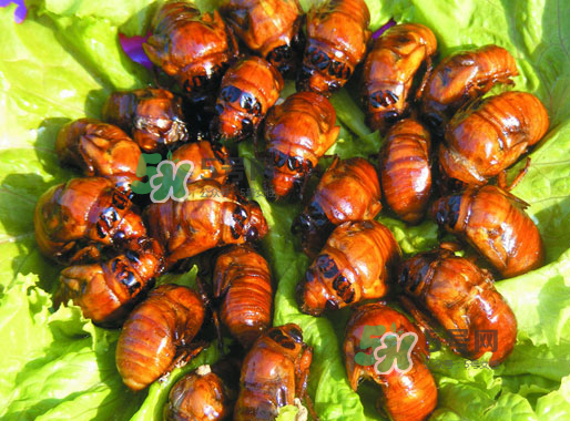 知了猴什么味道？知了猴好吃嗎？