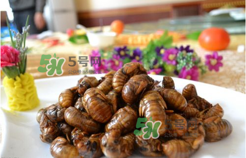 知了猴什么味道？知了猴好吃嗎？