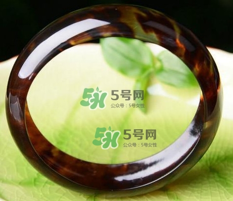 玳瑁是什么？玳瑁是國家保護動物嗎？