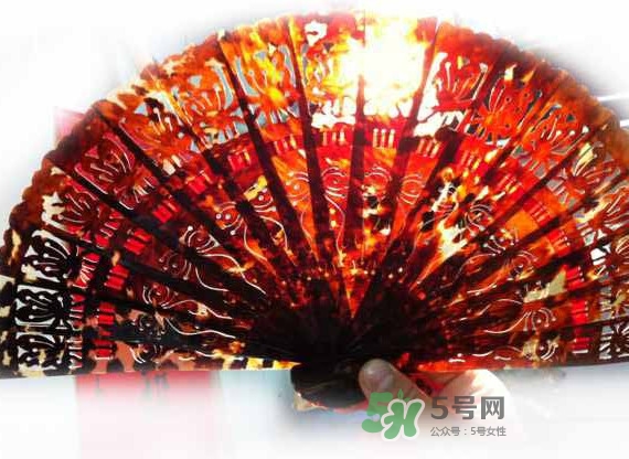 玳瑁怎么辨別真假？玳瑁可以沾水嗎