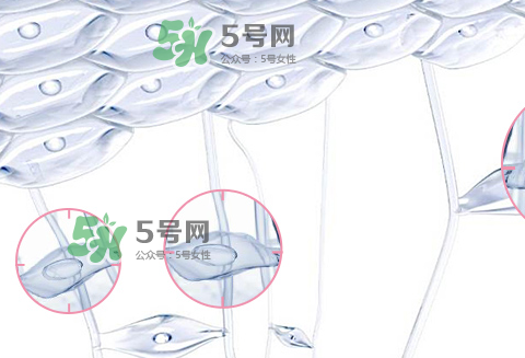 嬌韻詩(shī)青春賦活兩件套裝多少錢(qián)？嬌韻詩(shī)全新青春賦活系列怎么樣？