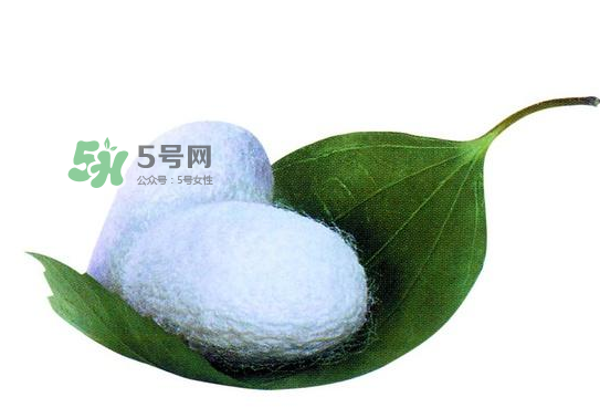 蠶繭多少錢(qián)一斤2017？2017年蠶繭價(jià)格是多少？