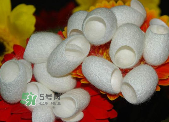 蠶繭多少錢(qián)一斤2017？2017年蠶繭價(jià)格是多少？