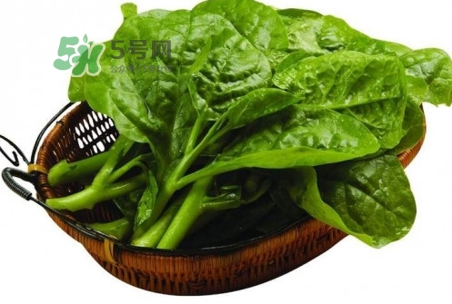 木耳菜怎么做好吃？木耳菜怎么吃