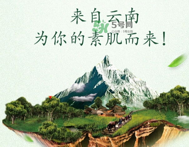 采之汲是什么牌子？采之汲是什么檔次？