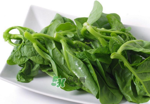 木耳菜怎么做好吃？木耳菜怎么吃