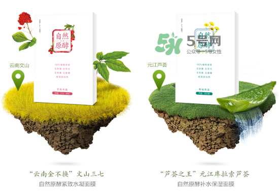 采之汲自然原酵面膜怎么用？采之汲自然原酵面膜使用心得