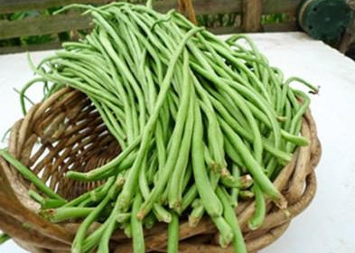 缸豆可以包餃子嗎？缸豆能放冰箱嗎