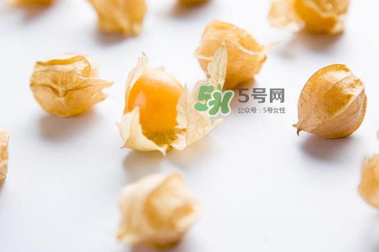 菇娘是寒性還是熱性？菇娘是哪里產(chǎn)的