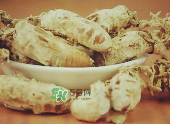 野生金蟬花多少錢一只？野生金蟬花價(jià)格