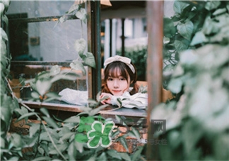 夏季皮膚缺水的表現(xiàn) 夏季皮膚缺水的解決辦法 夏季皮膚缺水的表現(xiàn) 夏季皮膚缺水的解決辦法