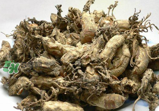 知了花多少錢一斤？野生知了花多少錢一斤2017？