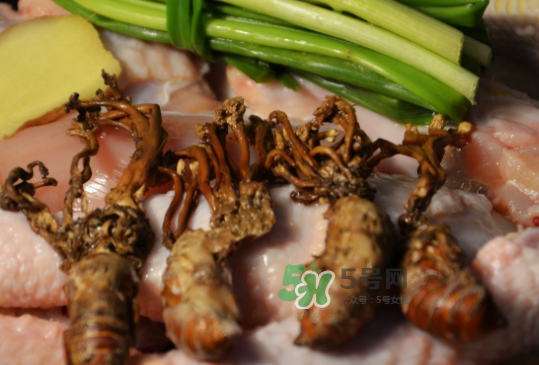 知了花多少錢一斤？野生知了花多少錢一斤2017？