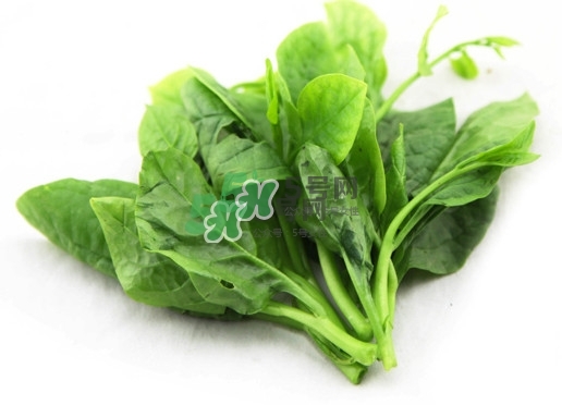 木耳菜怎么清洗？木耳菜怎么擇？