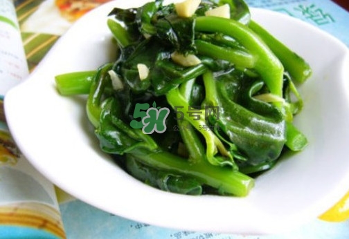 木耳菜是什么季節(jié)的菜？木耳和木耳菜有區(qū)別嗎