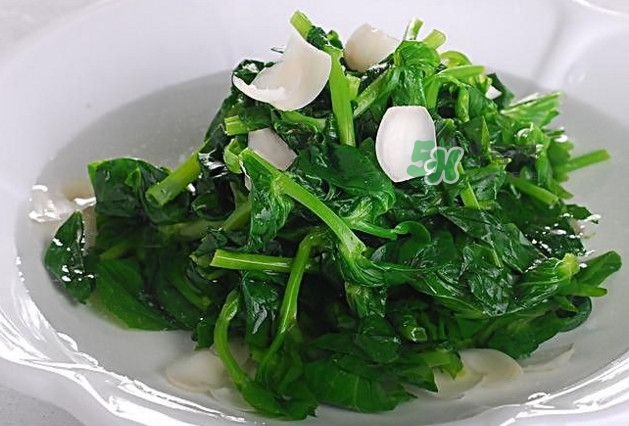木耳菜是什么菜？木耳菜對人有哪些好處？