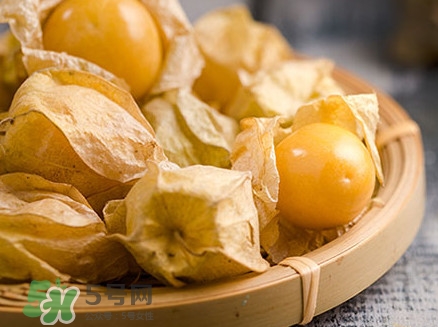 姑娘果可以直接吃嗎？姑娘果多吃有什么害處