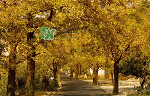 9月份去浙江穿什么？九月份去浙江穿什么衣服