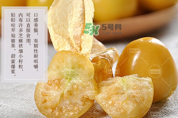 菇娘是寒性還是熱性？菇娘是哪里產(chǎn)的