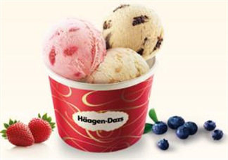 哈根達(dá)斯(H?agen-Dazs)柚子芝士蛋糕多少錢_好吃嗎？