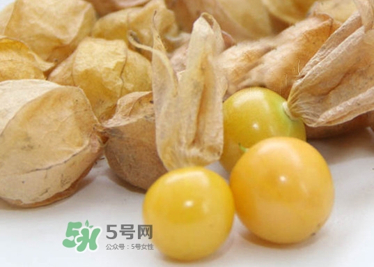 黃菇娘幾月種植？黃菇娘的種植注意事項