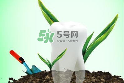 種植牙多少錢一顆？為什么種植牙很貴