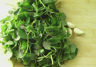 野莧菜怎么做好吃？野莧菜怎么保存