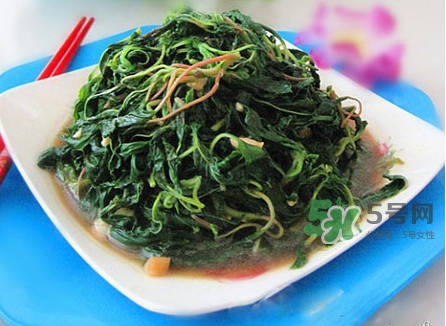 野莧菜怎么做好吃？野莧菜怎么保存