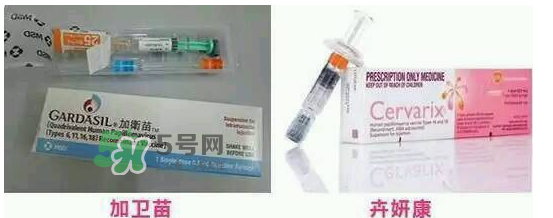 hpv疫苗9價(jià)4價(jià)2價(jià)有什么區(qū)別？hpv疫苗三款應(yīng)該怎么選？
