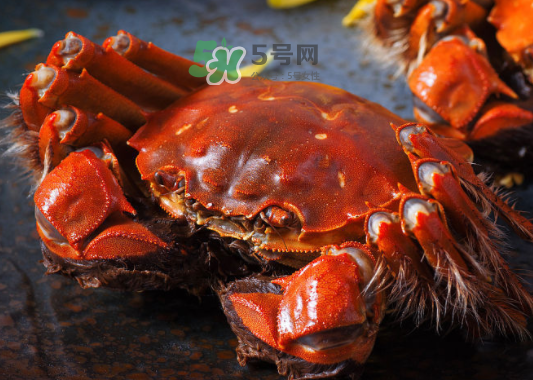 2017年陽澄湖大閘蟹多少錢一斤？2017陽澄湖大閘蟹價格