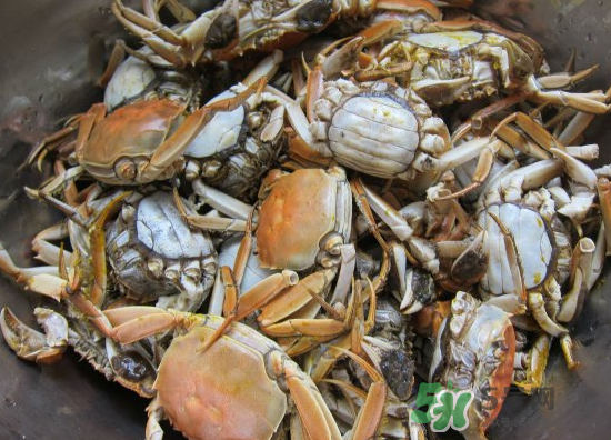 河蟹多少錢一斤2017？2017河蟹價格