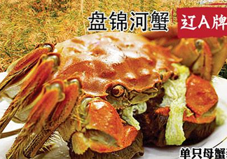 2017盤錦河蟹多少錢一斤？2017盤錦河蟹價(jià)格預(yù)測