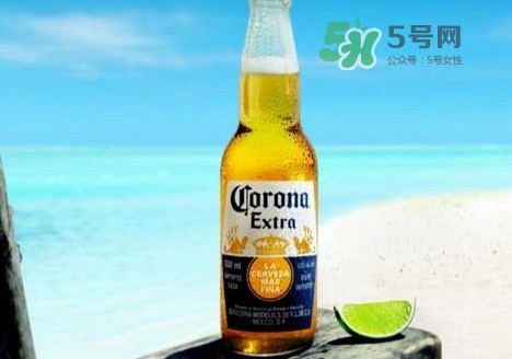 科羅娜啤酒多少錢一瓶？科羅娜啤酒好喝嗎