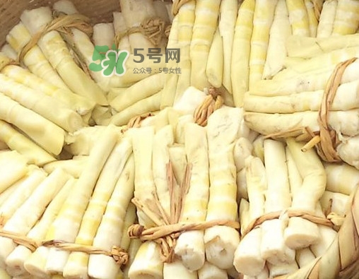 苦筍做法有哪些？苦筍怎么處理才不會苦