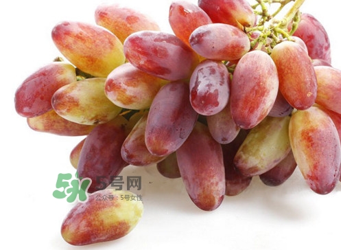 金手指葡萄是不是轉(zhuǎn)基因品種？美人指與金手指葡萄的區(qū)別