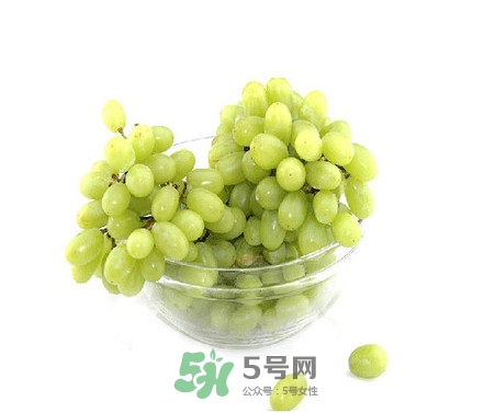 馬奶葡萄是提子嗎？馬奶葡萄怎么洗？