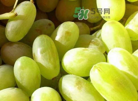 馬奶葡萄是提子嗎？馬奶葡萄怎么洗？