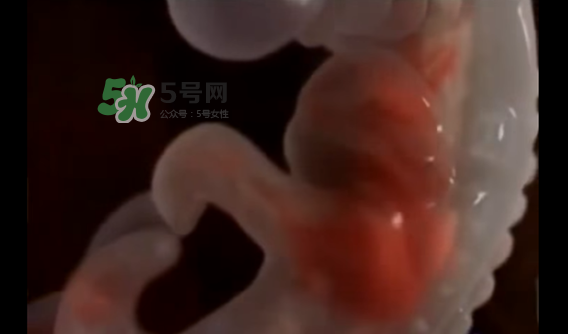 懷孕初期怎么保胎？陰道出血是流產(chǎn)征兆嗎？