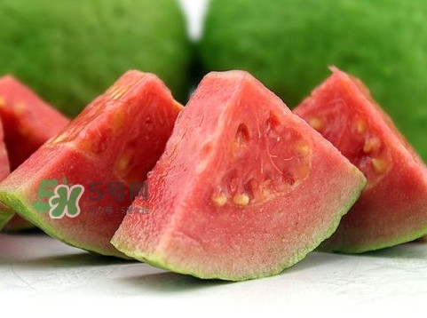 芭樂(lè)怎么保存？芭樂(lè)可以放冰箱嗎