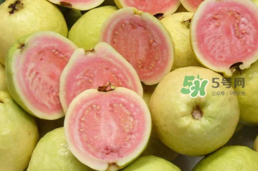 芭樂皮能吃嗎？芭樂皮可以吃嗎