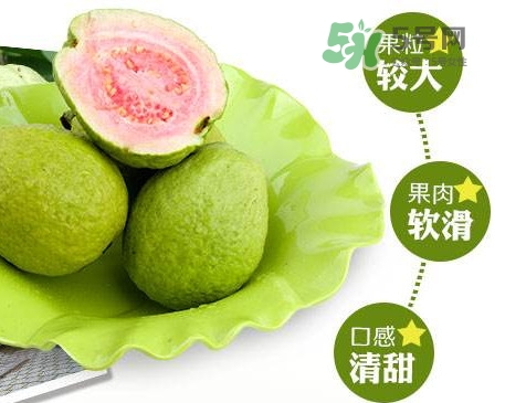 芭樂怎么挑選？如何挑選紅心芭樂