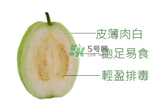 芭樂可以減肥嗎？吃芭樂可以喝牛奶嗎？